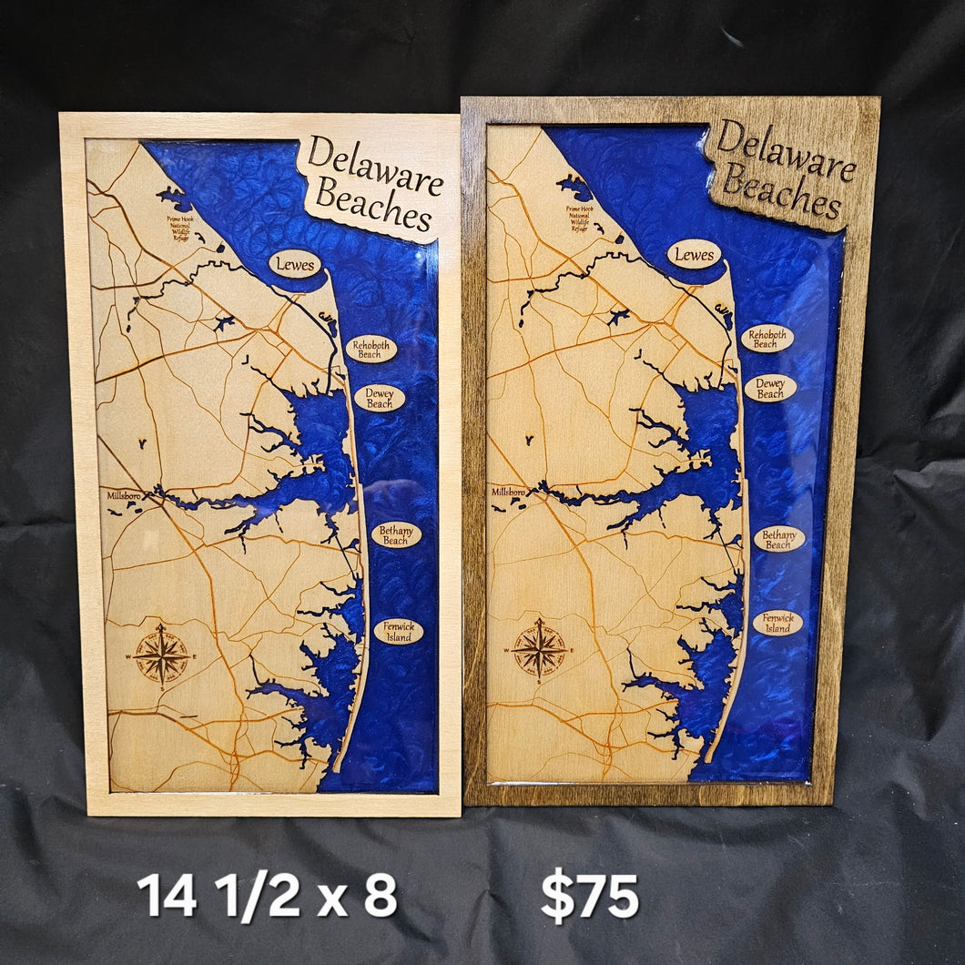 Delaware Beaches (2 layers)